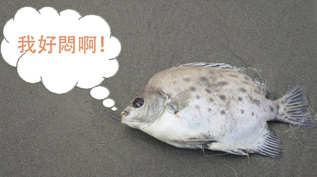 【大學生觀點】小格局，其實很可怕！