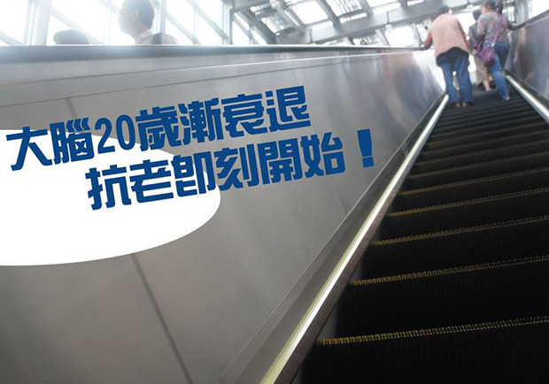 大腦20遂漸衰退　抗老即刻開始！