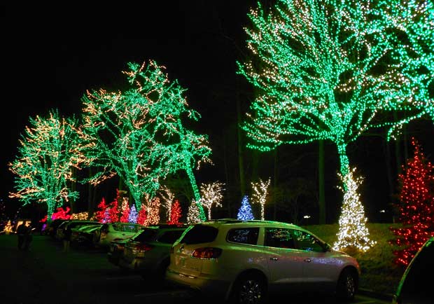 聖誕樹超級比一比