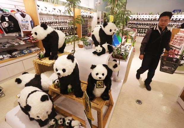 圓仔開啟的「動物經濟學」！