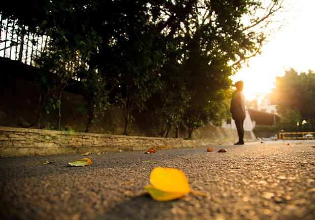 除了找名醫、求仙丹，抗癌更需要「新生活革命」！