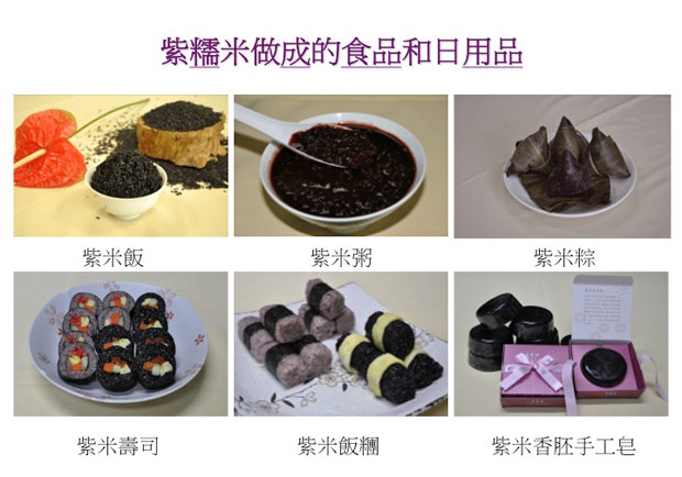 耗時21年，有身分證的紫糯米問世！