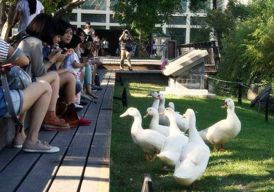 喧囂東區中的另一扇窗