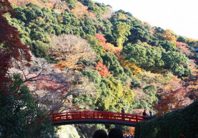 大阪箕面賞楓知性之旅