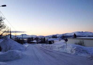 脫離永夜冬眠，挪威人瘋年後健身！