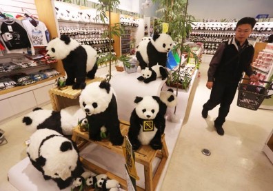 圓仔開啟的「動物經濟學」！