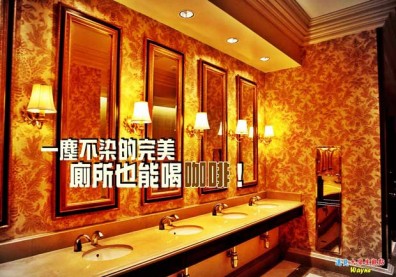 一塵不染的完美 廁所也能喝咖啡！？
