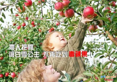 農人把關　讓白雪公主不再吃到「毒蘋果」