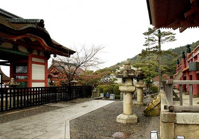 kyoto和服體驗！櫻花、神社、京都