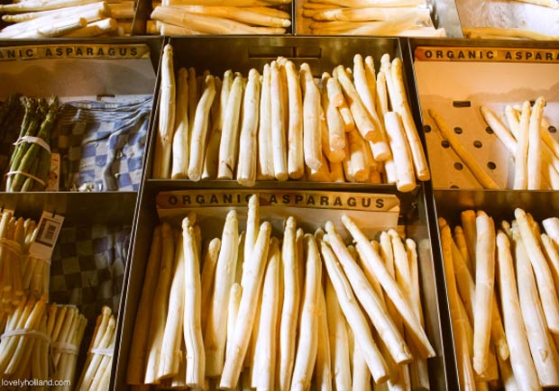 荷蘭白蘆筍賞味季，大快朵頤！Delicious asperge