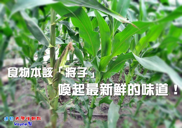 食物本該「將子」 喚起最新鮮的味道！