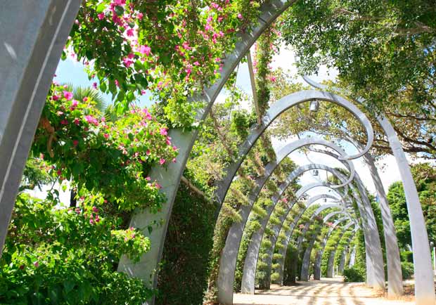 澳洲南岸公園的旅行體驗