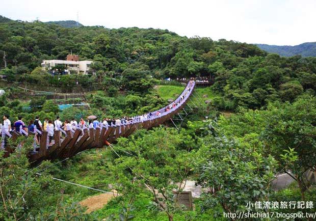 遊白石湖吊橋、後湖濕地，遇見美麗花海！