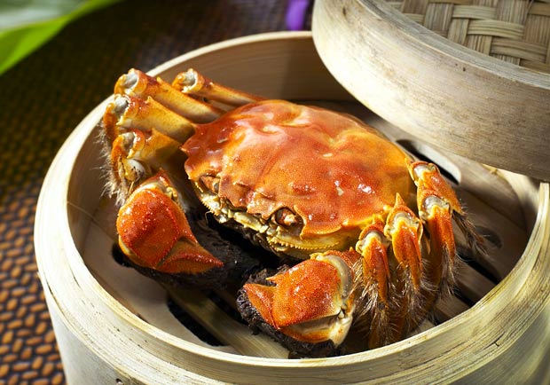 難以忘懷的濃郁滋味！秋季就是要吃大閘蟹料理