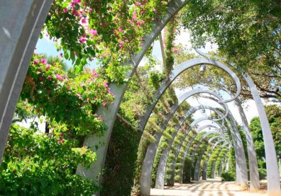 澳洲南岸公園的旅行體驗