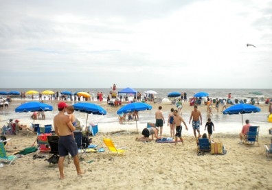 美國海灘熱季來臨，夏日就是要去海邊！