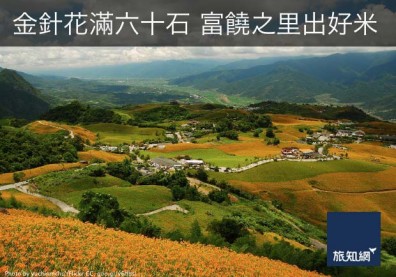 金針花滿六十石，富饒之里出好米！