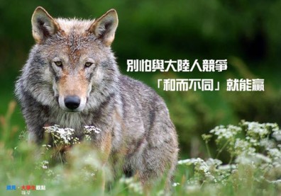 別怕與大陸人競爭，「和而不同」就能贏