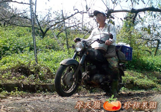 同一座山，同一個角度，同樣還想為了理念堅持下去！