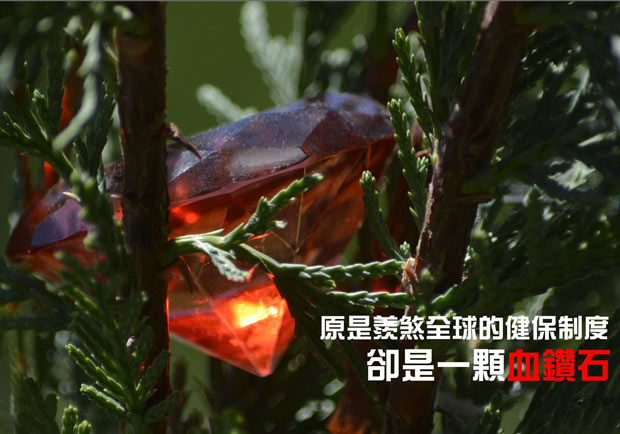 原是羨煞全球的健保制度，卻是一顆血鑽石
