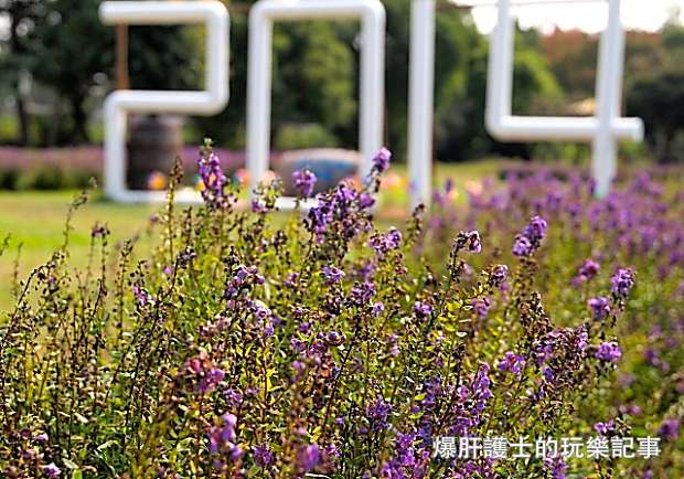 返鄉遊子意難忘！彰化二林古早味美食吃不停