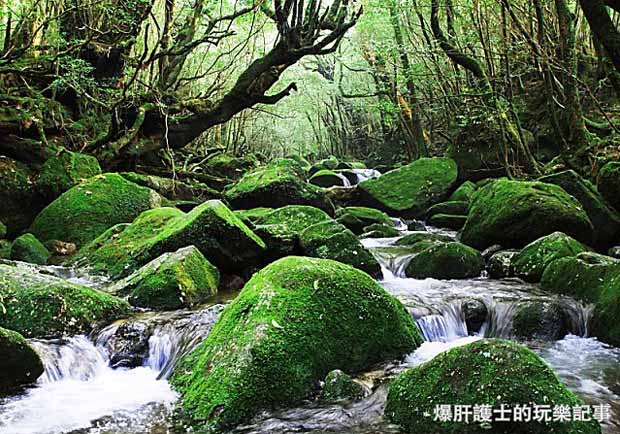 日本小島旅行──世界遺產海上阿爾卑斯屋久島