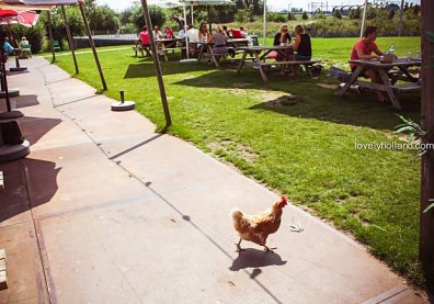 看見不一樣的荷蘭生活哲學