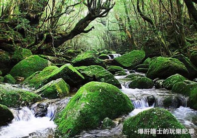 日本小島旅行──世界遺產海上阿爾卑斯屋久島