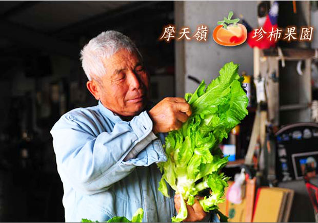意義重大的蔬菜箱！內心充滿無限感激的傻農