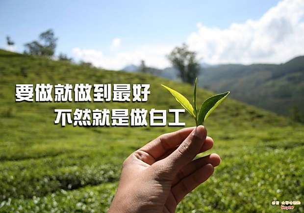 要做就做到最好，不然就是做白工！