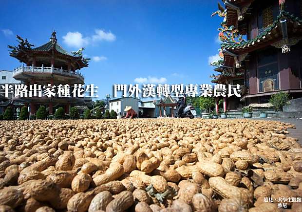 半路出家種花生　門外漢轉型專業農民