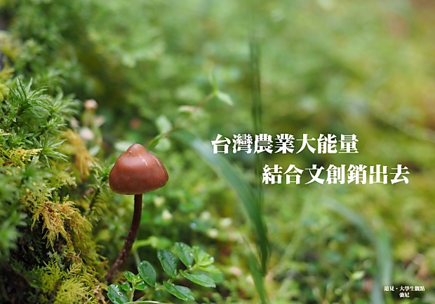 台灣農業大能量，結合文創銷出去