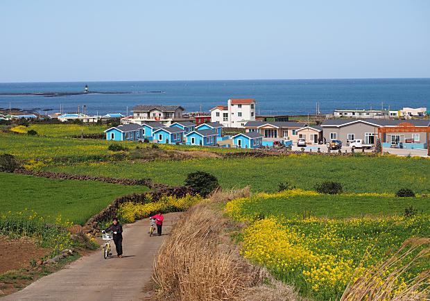 春天前往濟州島！賞花踏青、品嘗道地韓味正是時候