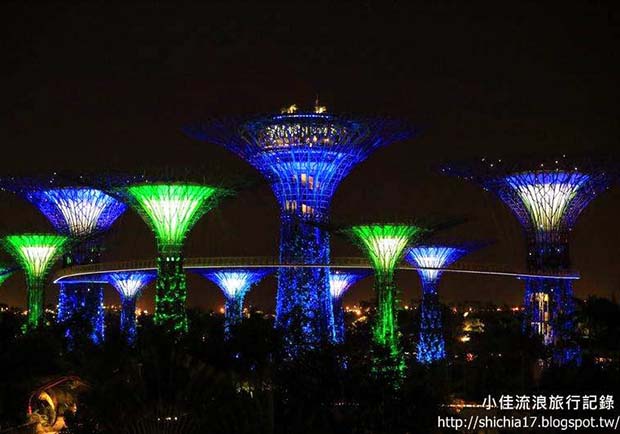用藝術照亮整個夜空！新加坡超美濱海灣天空樹