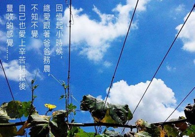 台大機械高材生，返鄉建造生態有機農場