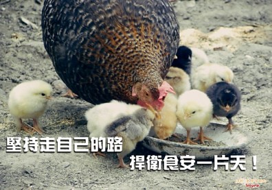 堅持走自己的路，捍衛食安一片天！