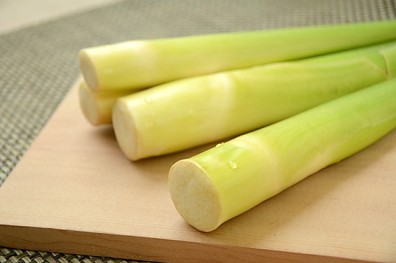 明星級的好食材！當季的「美人腿」─ 筊白筍！