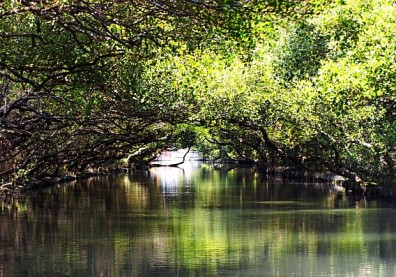 府城新味道！2015台南熱搜關鍵美食新景點