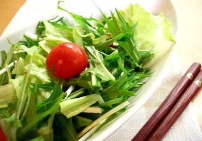 打破減肥迷思！吃素，真的有助減肥嗎？