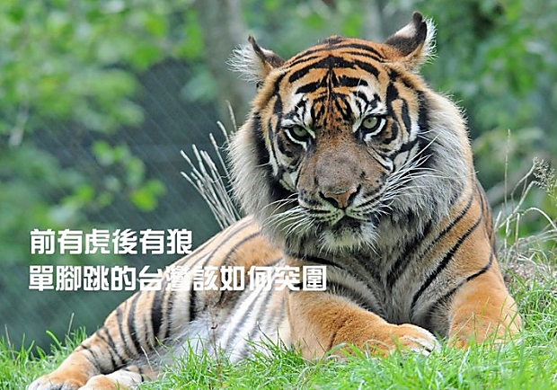 前有虎後有狼，單腳跳的台灣該如何突圍？