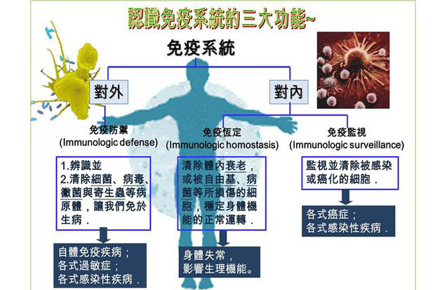 罹患癌症非關運氣 是免疫不好 Stella 的生活營養學 遠見雜誌