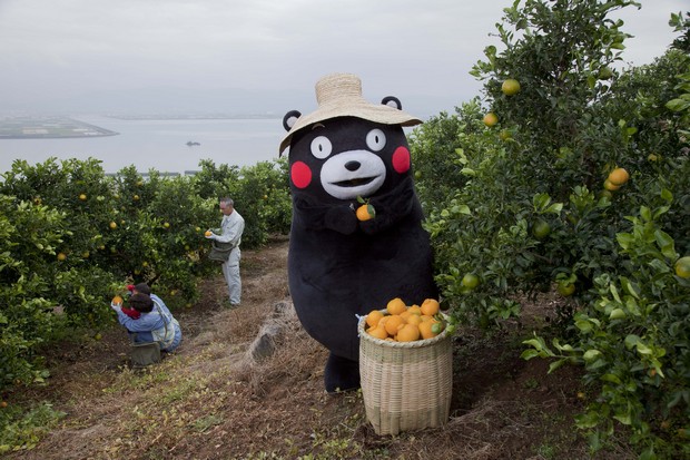 史上最有感的吉祥物！為什麼熊本熊這麼成功？