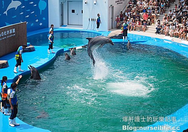 仙台海之杜水族館，造訪日本東北最大規模的水族館！