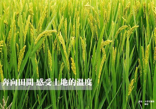 奔向田間，感受土地的溫度！