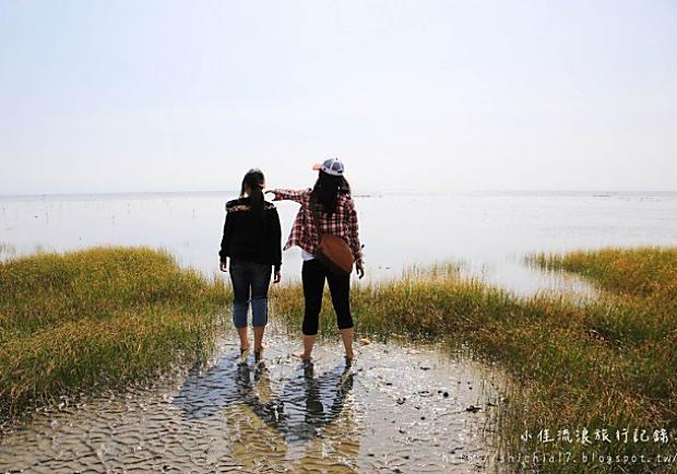 新竹香山溼地！探索生態、親子旅遊的好去處！