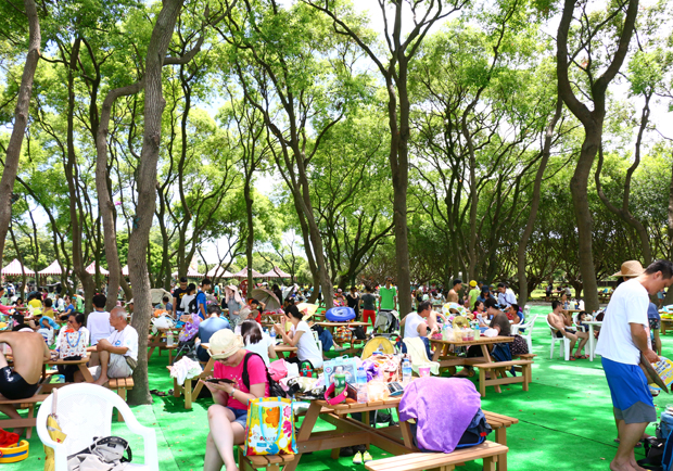 知卡宣公園擁抱芬多精 東大門夜市享特色美食