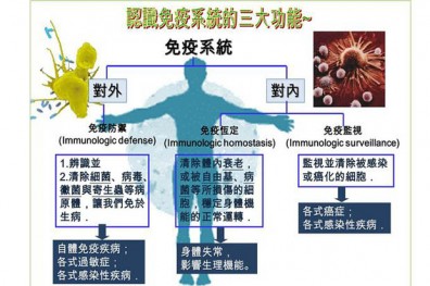 罹患癌症非關運氣，是免疫不好！