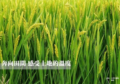 奔向田間，感受土地的溫度！