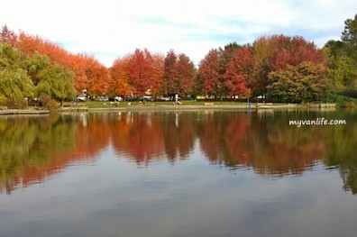 觀賞鱒魚湖楓紅片片！火樹下漫遊最浪漫