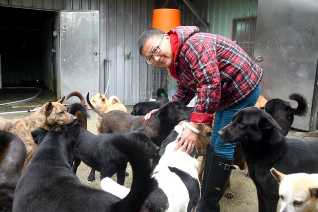 把餘生獻給流浪動物！「62歲的我，要做到不能做為止」